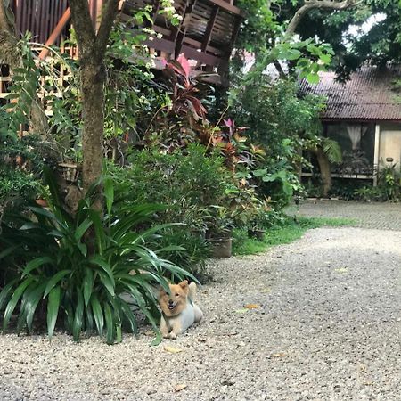 Hotel Baan Songjum Čiang Mai Exteriér fotografie