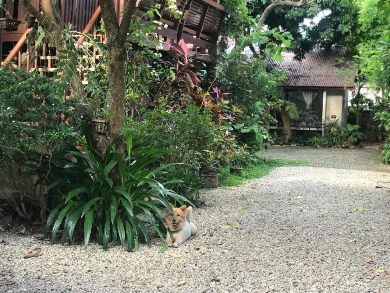 Hotel Baan Songjum Čiang Mai Exteriér fotografie